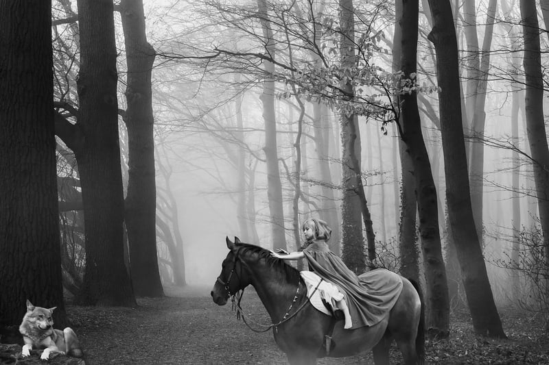 Timeless Adventures